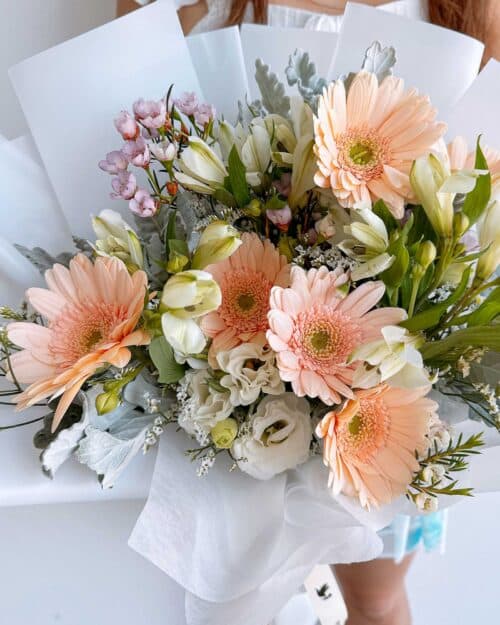 Everleigh everleight zoom