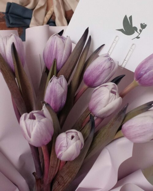 Mazarine 2026 details