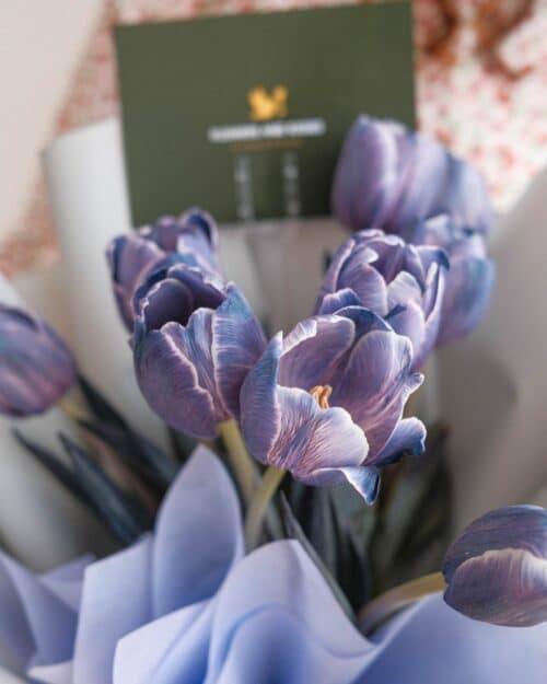 Mazarine mazarine zoom 1