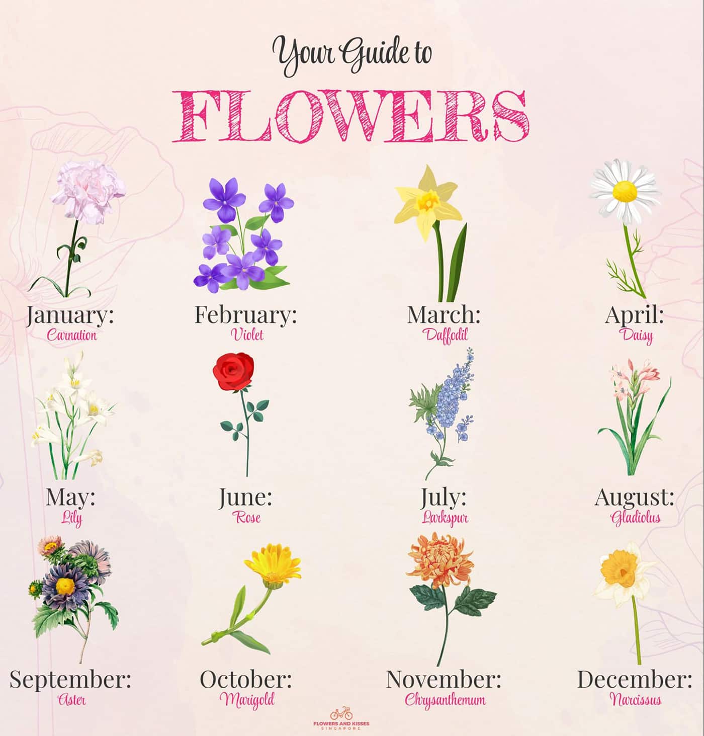 Flower Power: How Flowers Impact Our Mental Health online florist guide to flowers