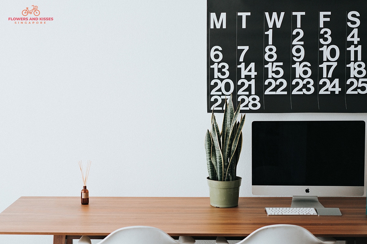 Flower Power: How Flowers Impact Our Mental Health online florist work space with snake plant