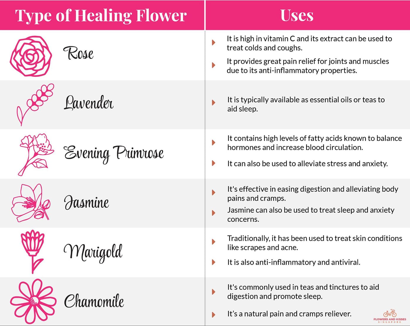 Flower Power: How Flowers Impact Our Mental Health types of get well soon flowers
