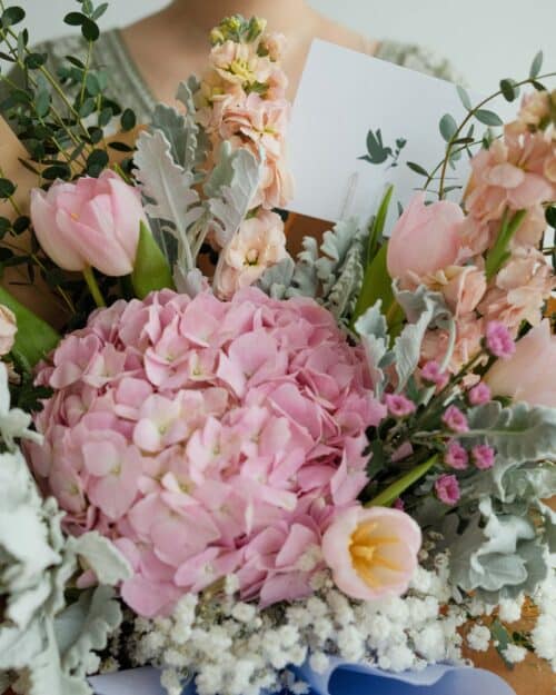 Vanessa vanessa zoom 2