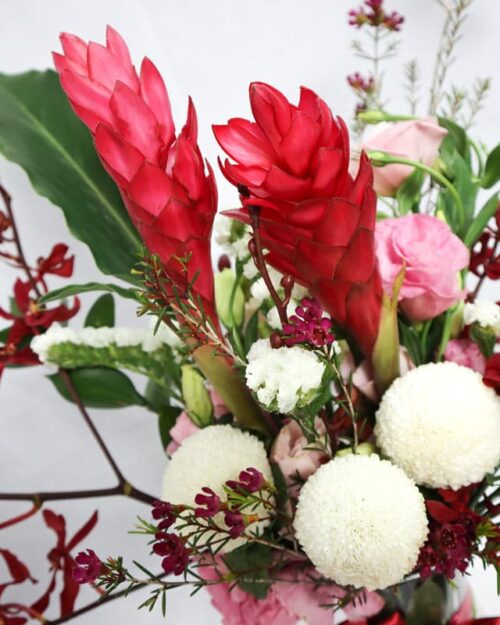 Gloria Gloria zoom in