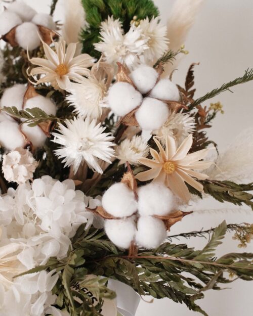 Willow (Dried & Preserved Flowers) Zoom cotton Willow (Dried & Preserved flowers)