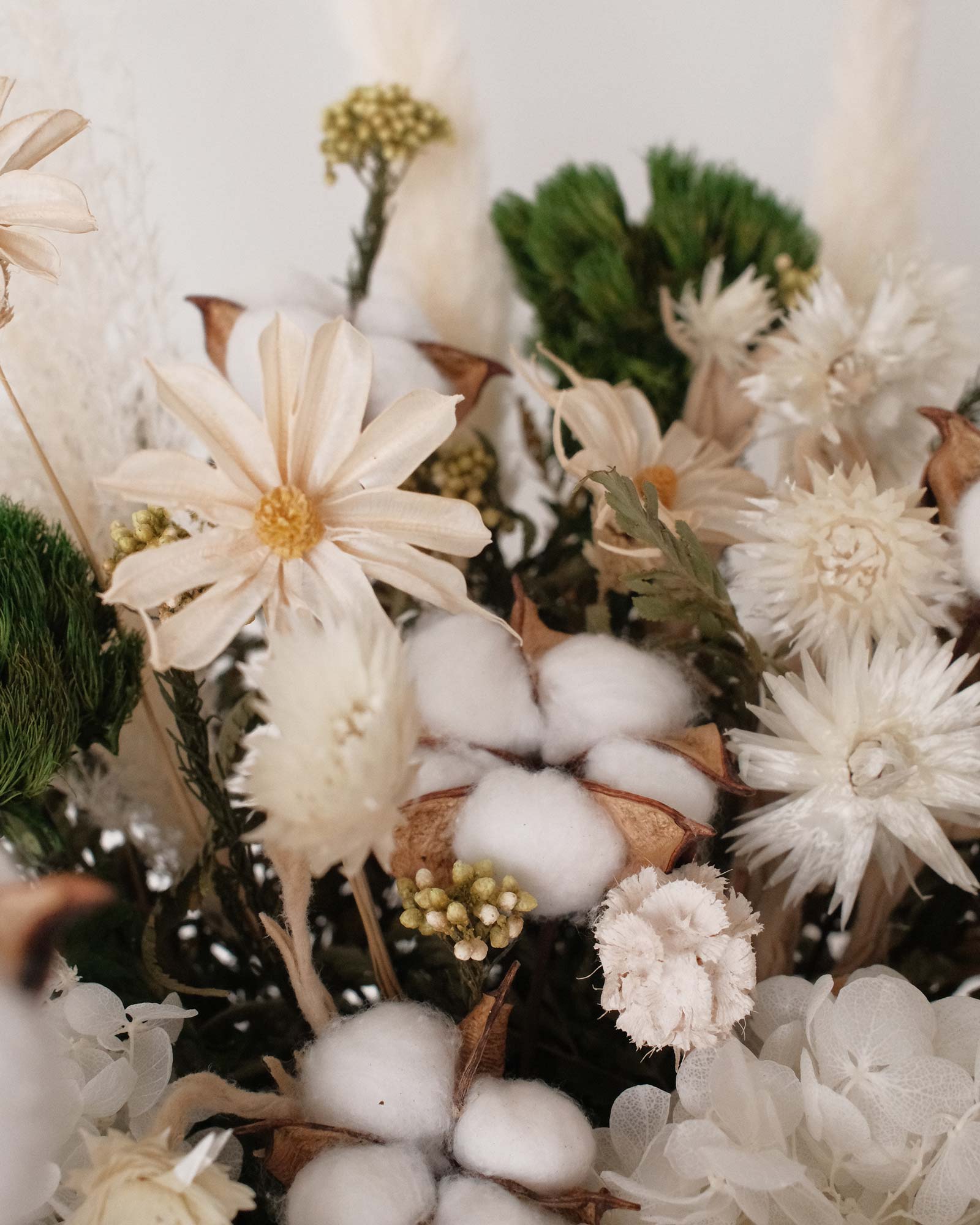 Willow (Dried & Preserved Flowers) Zoom daisy Willow (Dried & Preserved flowers)