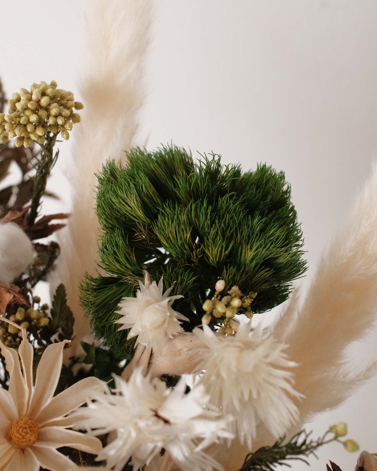 Willow (Dried & Preserved Flowers) green trix Willow (Dried & Preserved flowers)