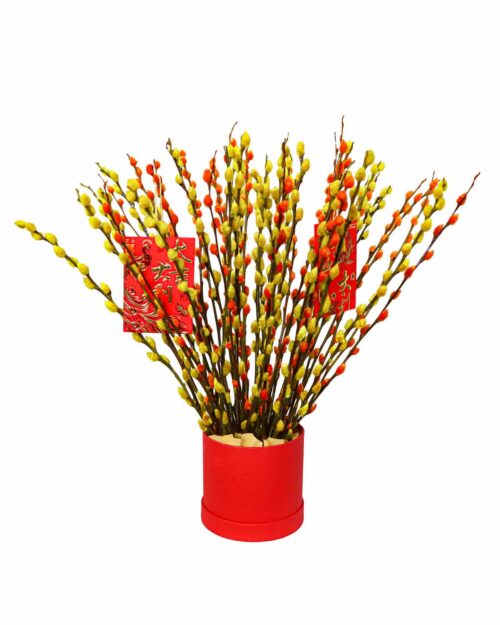Auspicious Willow Auspicious Willow