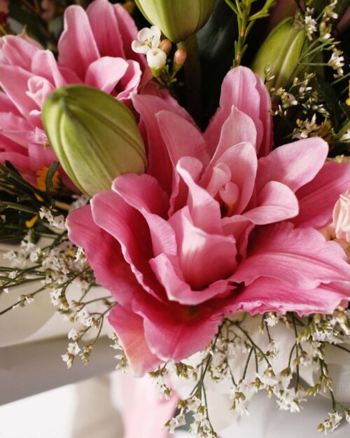 Patrice rose lilies