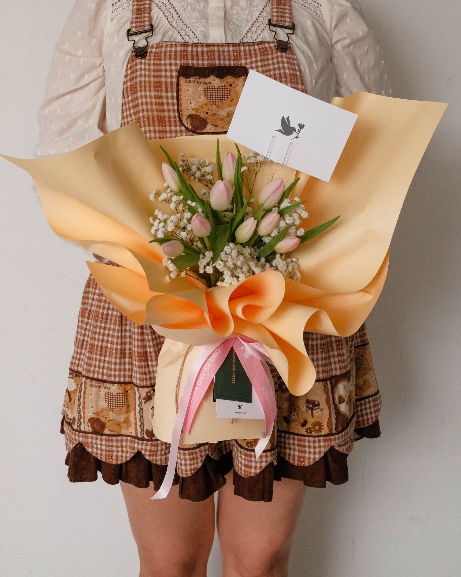 Stella stella front 5