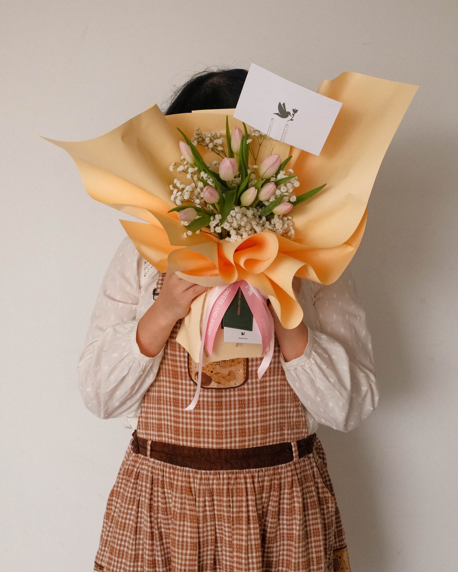 Stella stella front 6