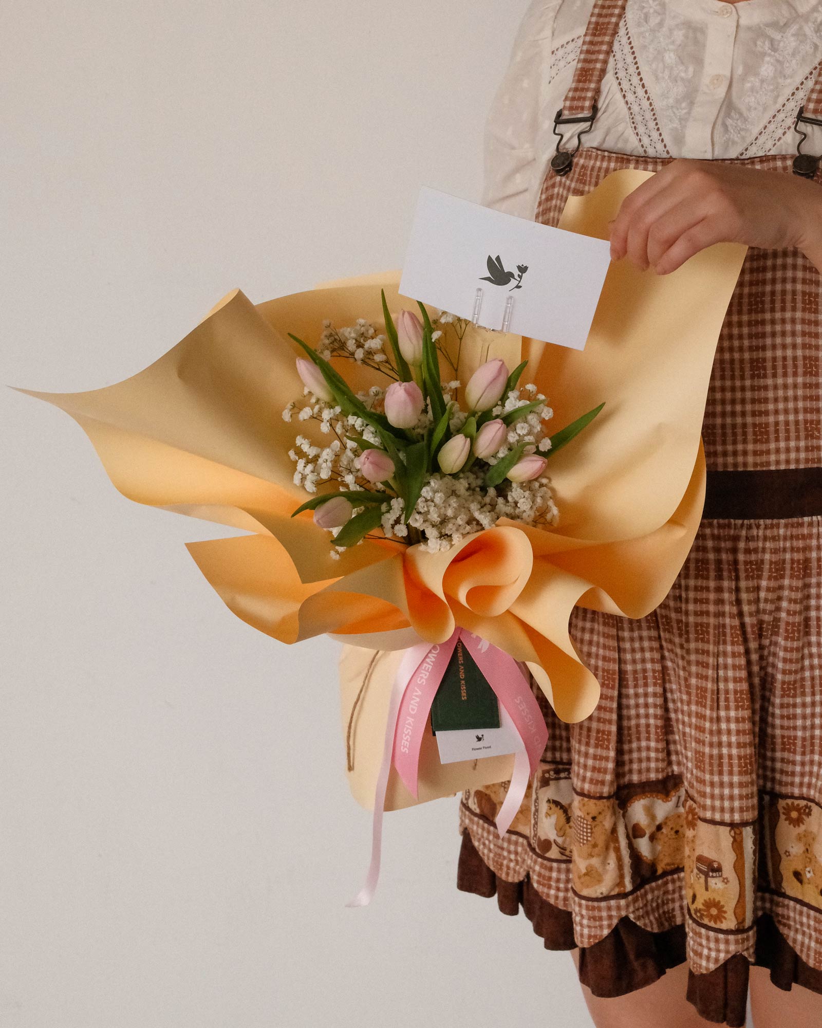 Stella stella front 7