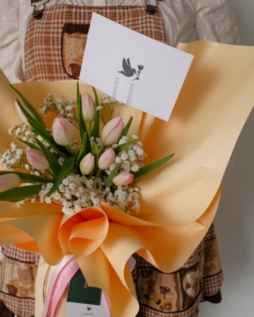 Stella stella zoom 3