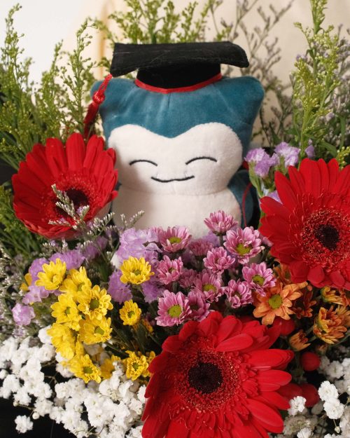 Red Daisy snorlax3