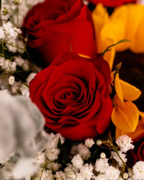 graduation aurelia zoom 1