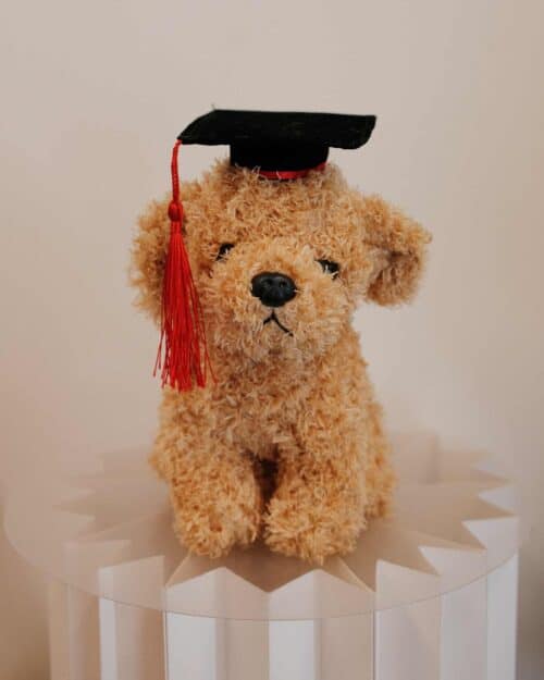 Graduation Pudding