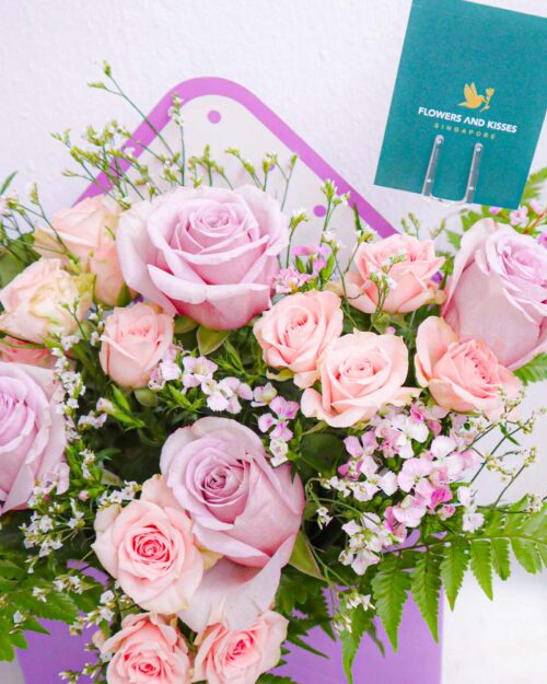 Daphne daphne-details