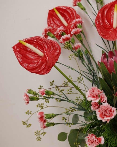 Louis New burgundy pot