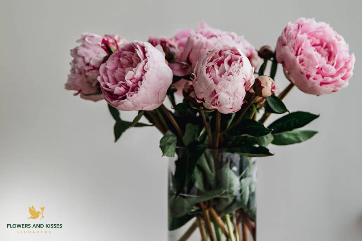 4 Different types of flowers and their meanings 4 Different types of flowers and their meanings