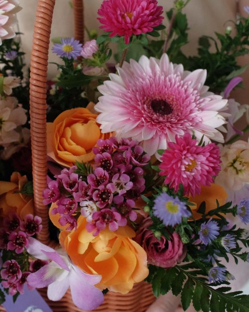 Melissa (Pet Safe Bouquet) melissa2