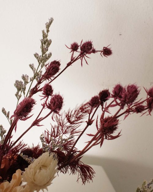 Petra (Dried & Preserved flowers) mpetra11