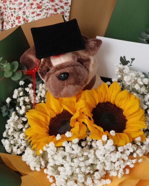 Puggacino 2 sunflower lively bunch