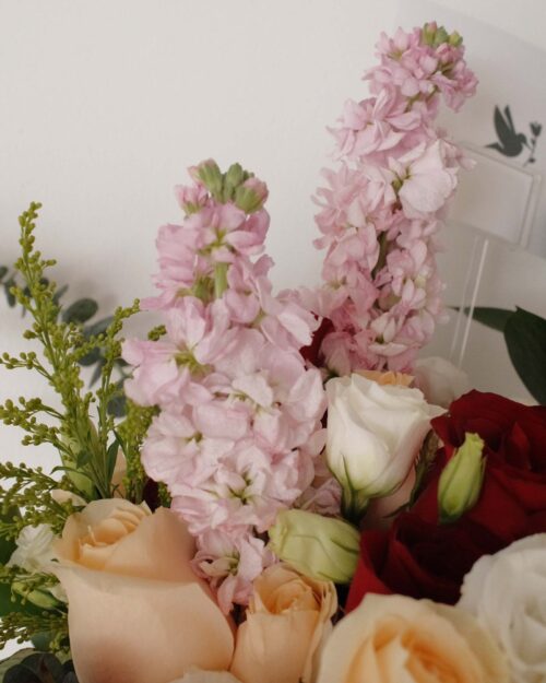 Bernedette matthiola