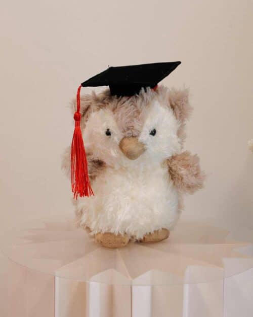 Graduation Owlet plushie new