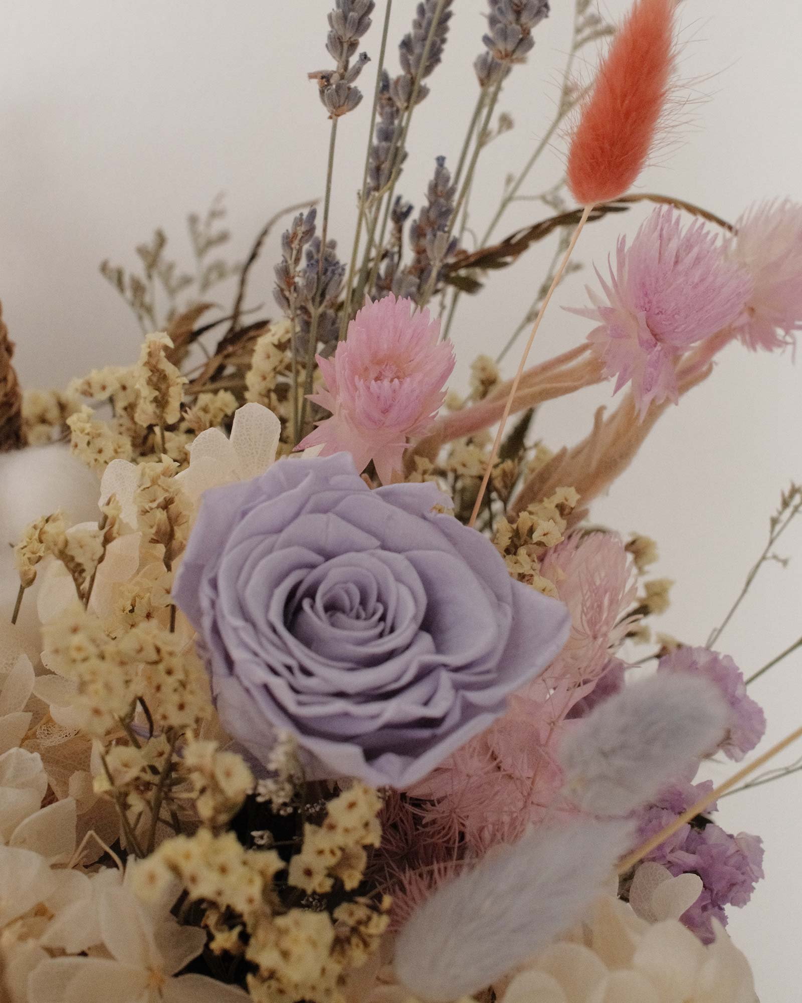 Reena (Dried & Preserved flowers) Reena101