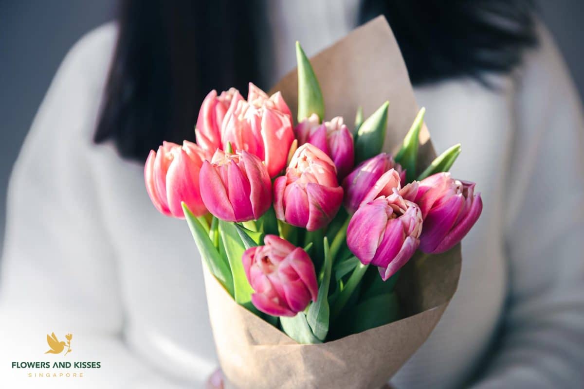 4 Fun Facts You Didn't Know About Tulips X Fun Facts You Didn't Know About Tulips