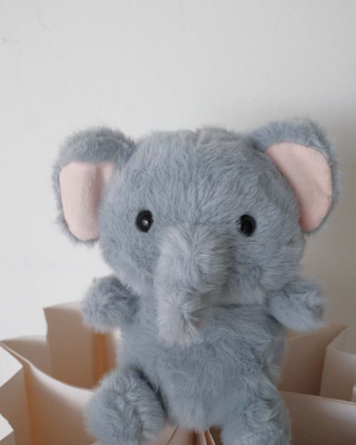 bobo261