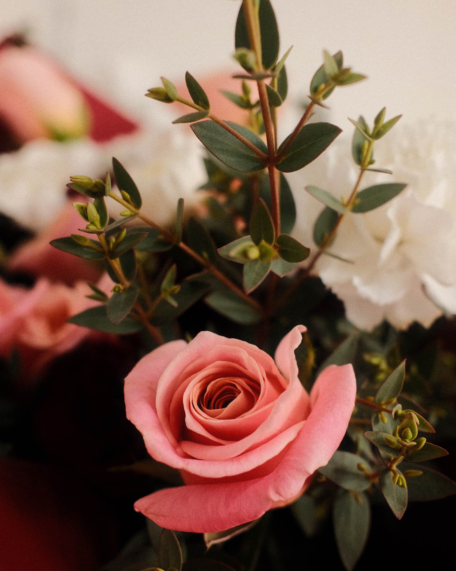 Tatiana tatiana zoom 1