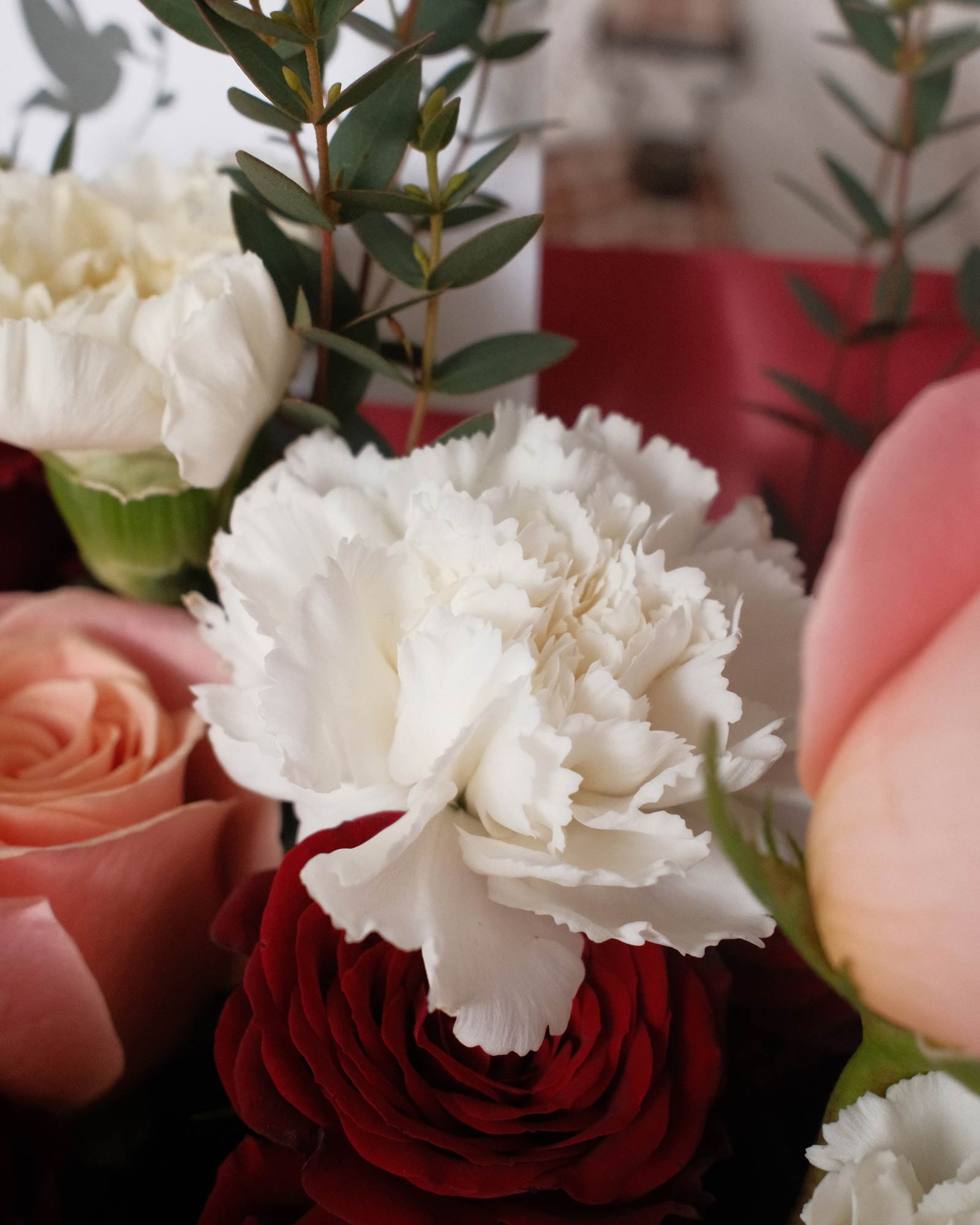 Tatiana tatiana zoom 2