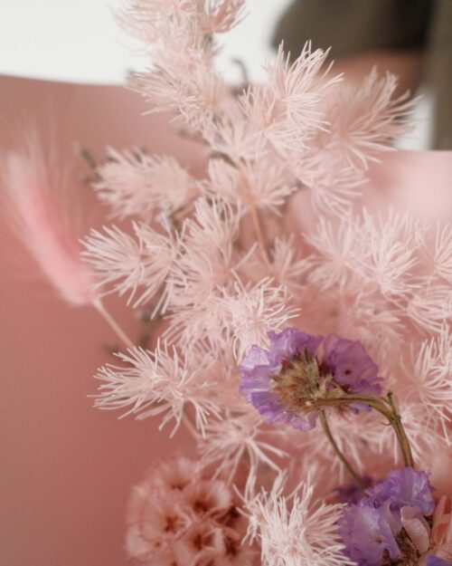 Ming fern pink zoom