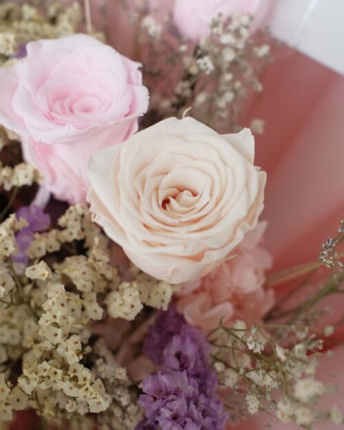 Papillon zoom preserved roses