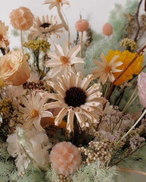 Jardin1051
