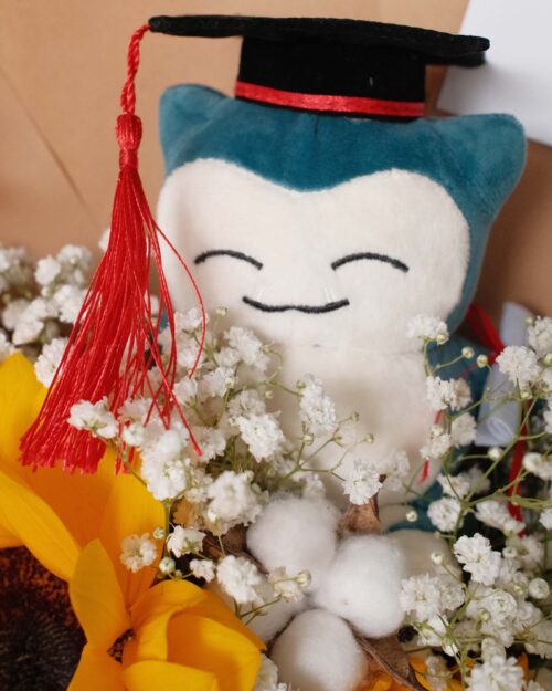 snorlax Graduation sunny