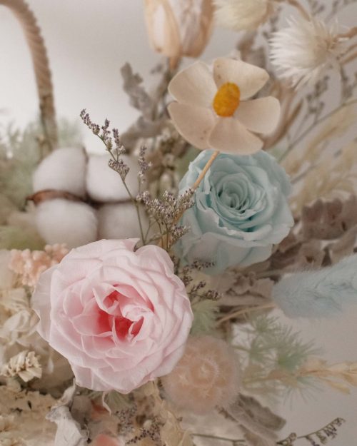 Whisper (Dried & Preserved flowers) whisper 221