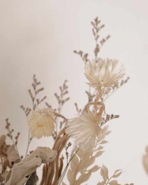 Whisper (Dried & Preserved flowers) whisper 223