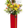 Shining star Opening Flower Stand Shining star Opening Flower Stand