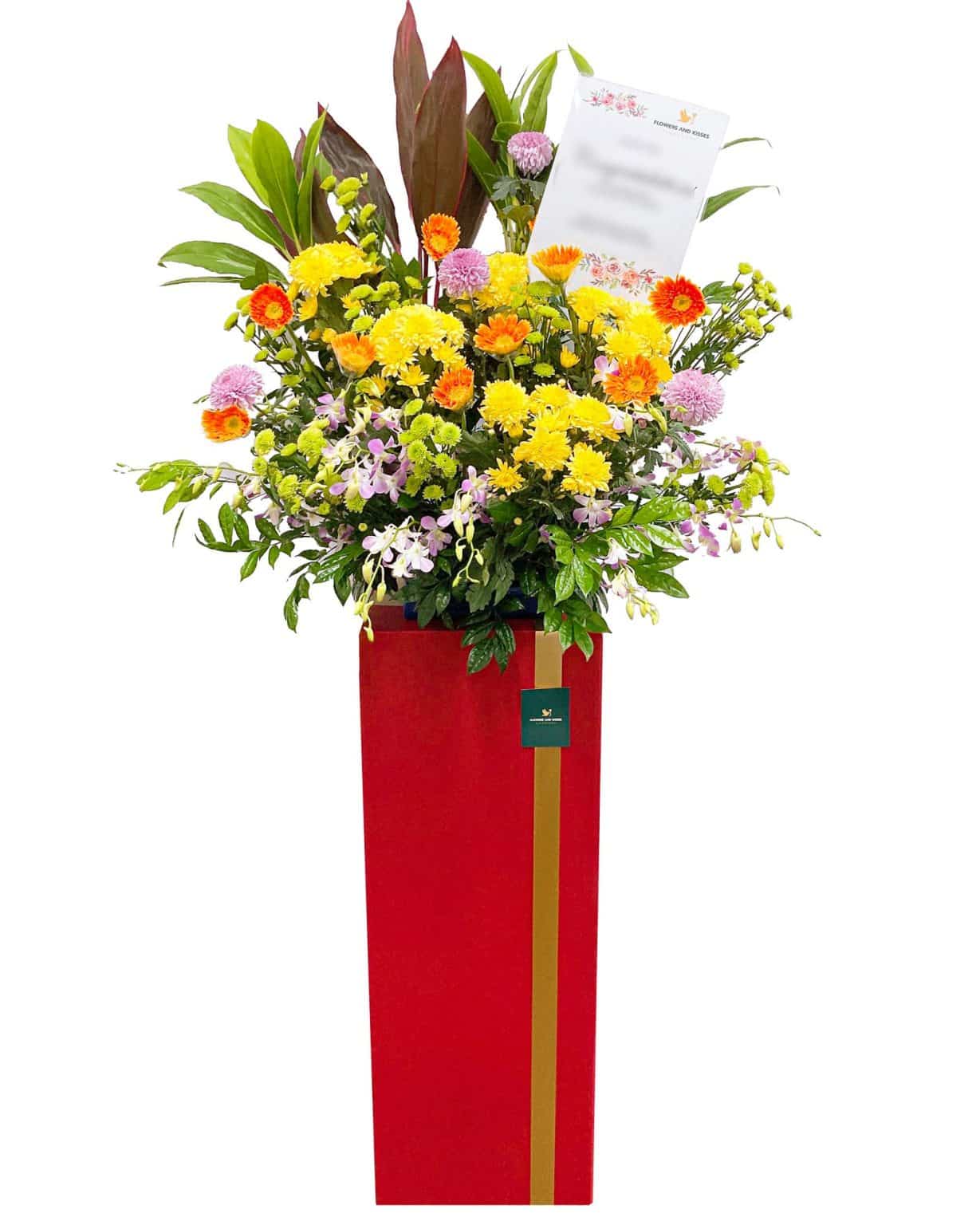 Shining Star Opening Flower Stand Flowers And Kisses shining-star-opening-flower-stand-flowers-and-kisses