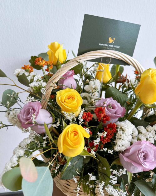 Natasha natasha zoom