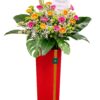 Candyland Opening Flower Stand Candyland Opening Flower Stand