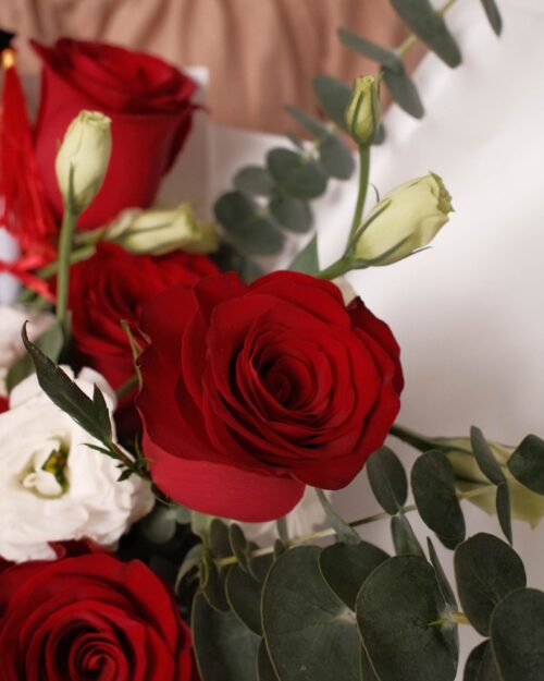 graduation carrie zoom 3