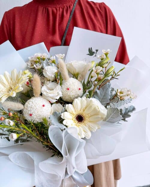 Snowdrop snowdrop zoom 2