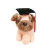Graduation Puggacino Graduation Puggacino