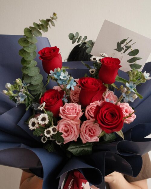 blue star new zoom 1