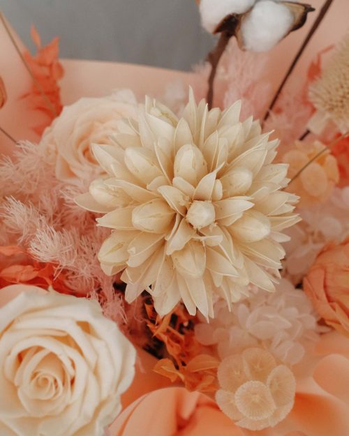 Paige (Dried & Preserved flowers) Paigezo