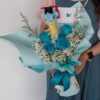graduation lapras front 1