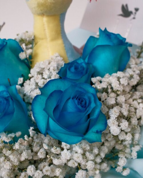 graduation lapras zoom 1